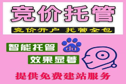 谷歌竞价广告的转化率提升方法及案例分享